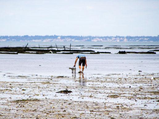 Camping à Saint-Brévin-Les-Pins en Loire-Atlantique