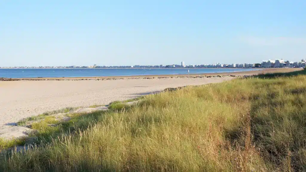 Plage et herbes avec vue sur la ville.