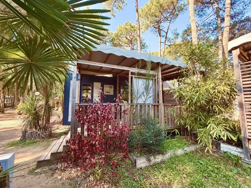 Cabane en bois entourée de plantes vertes.