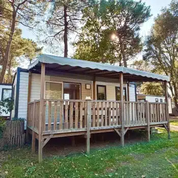Mobil-home bois dans un camping arboré.