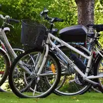 Vélos garés dans un parc verdoyant.