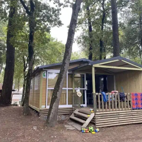 Chalet en bois dans un camping sous les arbres.