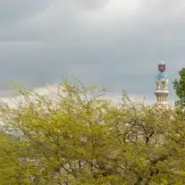 Tour blanche derrière arbres fleuris.