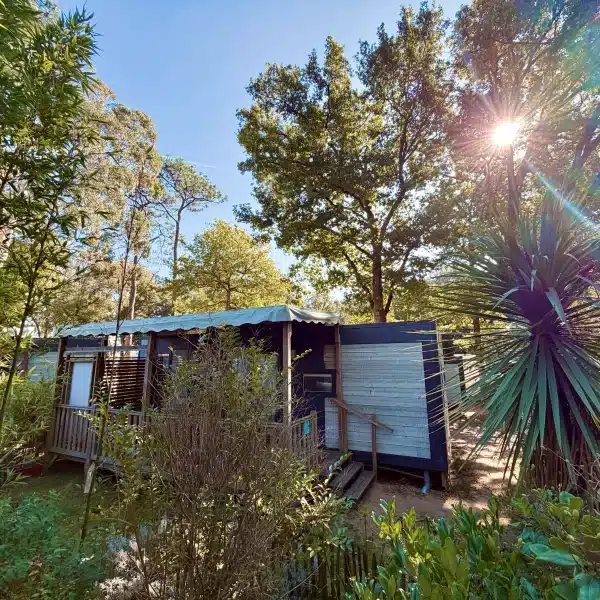 Cabane en bois entourée d'arbres et de verdure.