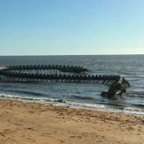 Structure métallique en forme de serpent sur la plage.