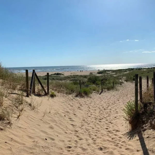 Sentier de dune menant à la plage ensoleillée.