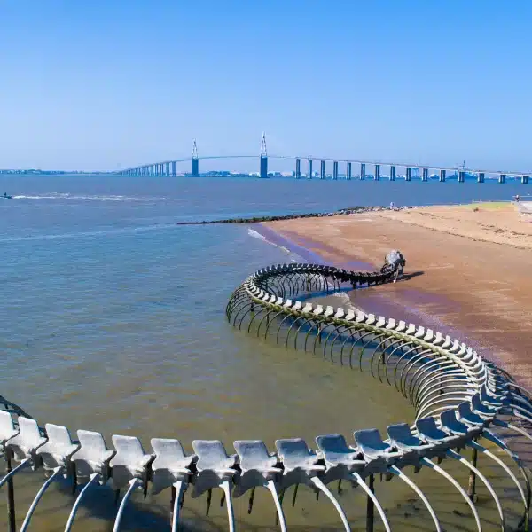 Squelette serpent géant sur plage, pont en arrière-plan.