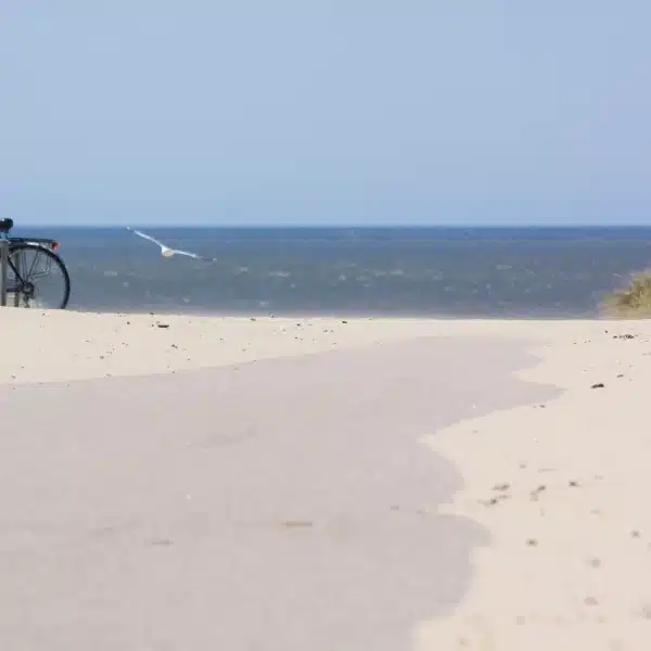 Vélo sur une plage près de la mer.