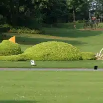 Arbuste taillé en forme de dinosaure au parc.