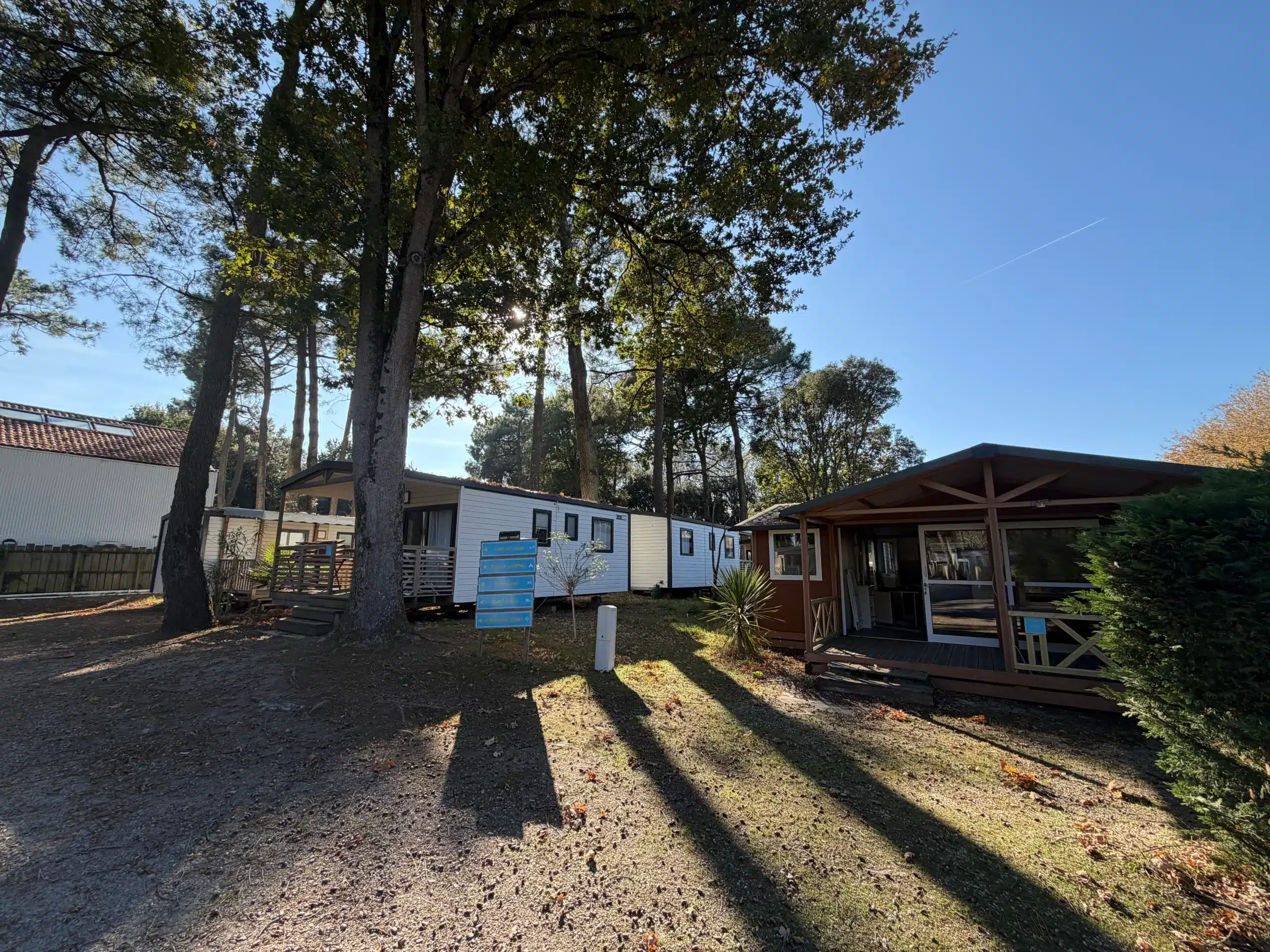 Cabanes en bois dans un camping boisé, ciel bleu.