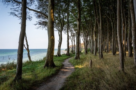 La côte de Jade : nos idées de balades entre terre et mer